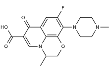 ofloxacin